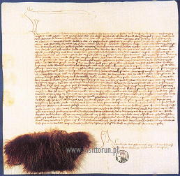 The complaint of the seniors of Hanza counting-house in Bruges for fur forgery by Toruń furrier Peter Rhode, Bruges 16th Feb 1446. It is probably the only unique letter with an 'enclosure' of that kind preserved in Europe from Middle Ages, the proof of forgery is a piece of squirrel leather made as sable fur.