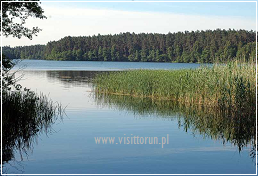 Lake Dębno