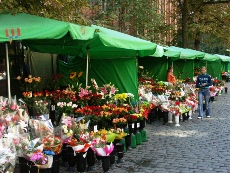 Flowers stalls on Rynek Staromiejski (Old City Market Square)
