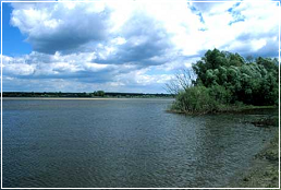 Vistula near town of Nieszawa (some 30 km south of Toruń)